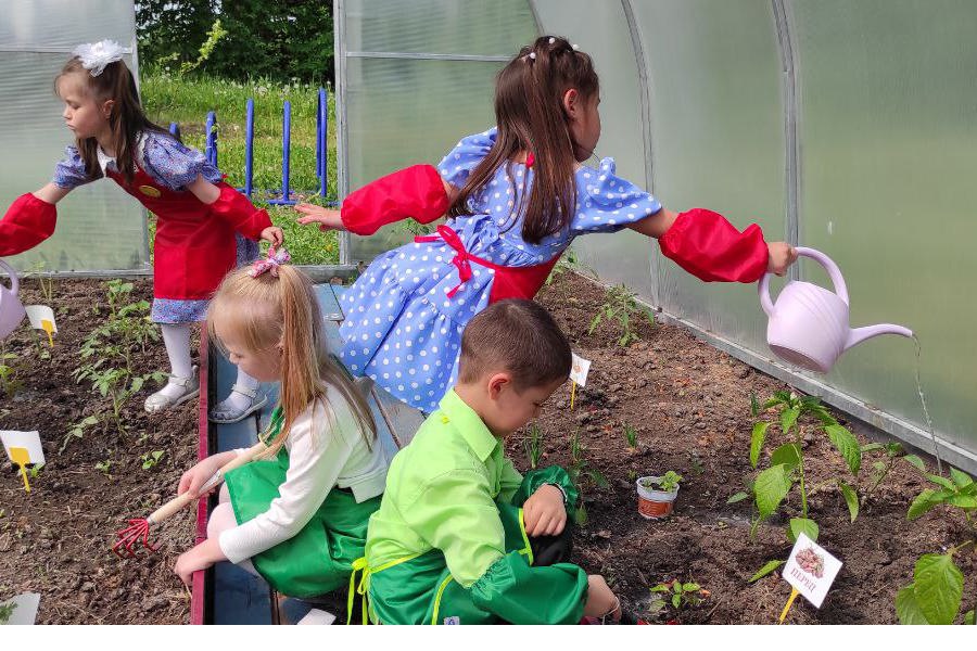 Бережное отношение к растениям формирует экологическое​ воспитание: в детском саду «Солнышко» открылась агролаборатория