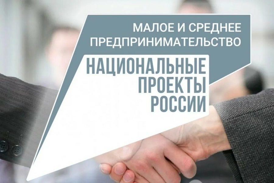 За 5 лет сумма налогов, уплаченных субъектами малого и среднего предпринимательства и самозанятыми, выросла в 2,2 раза