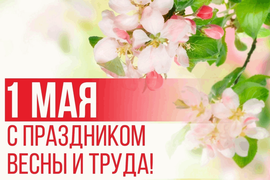 Поздравление начальника Гостехнадзора Чувашии Владимира Димитриева с Праздником Весны и Труда