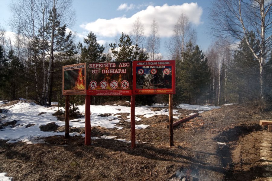 Подготовка к пожароопасному сезону в Ибресинском лесничестве (26.03.25)