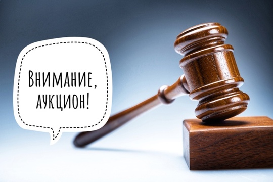 Внимание! Аукцион!