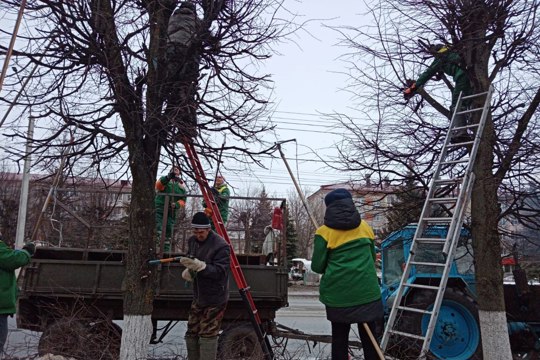 В Новочебоксарске выполняют работы по обрезке деревьев.