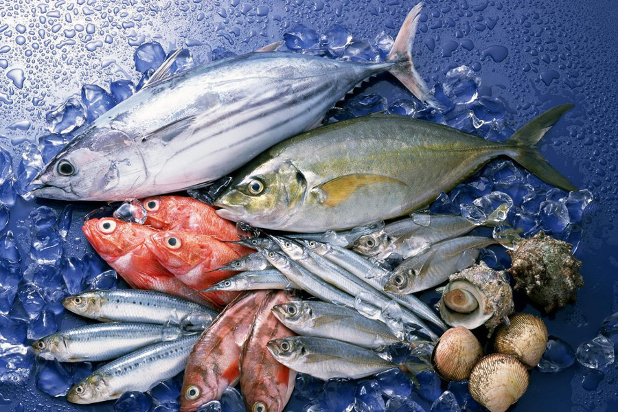 Рекомендации для населения по выбору рыбы и морепродуктов