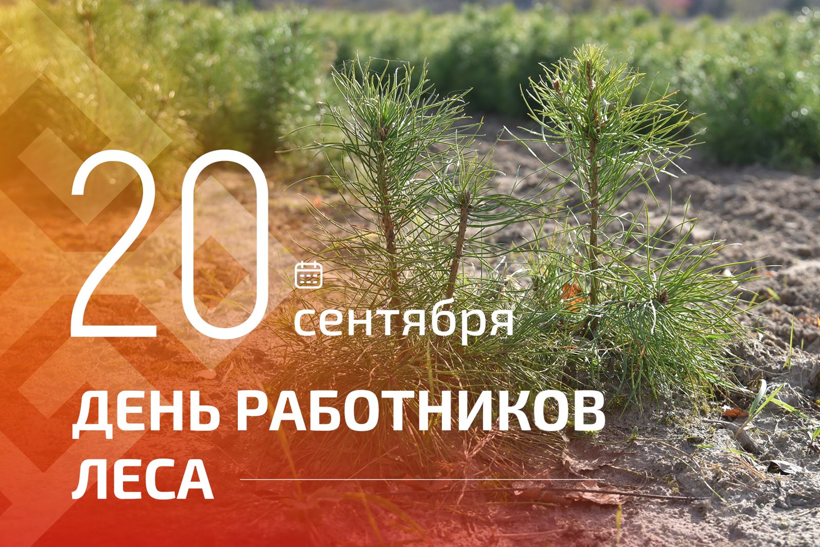 Олег Николаев поздравляет с Днём работников леса