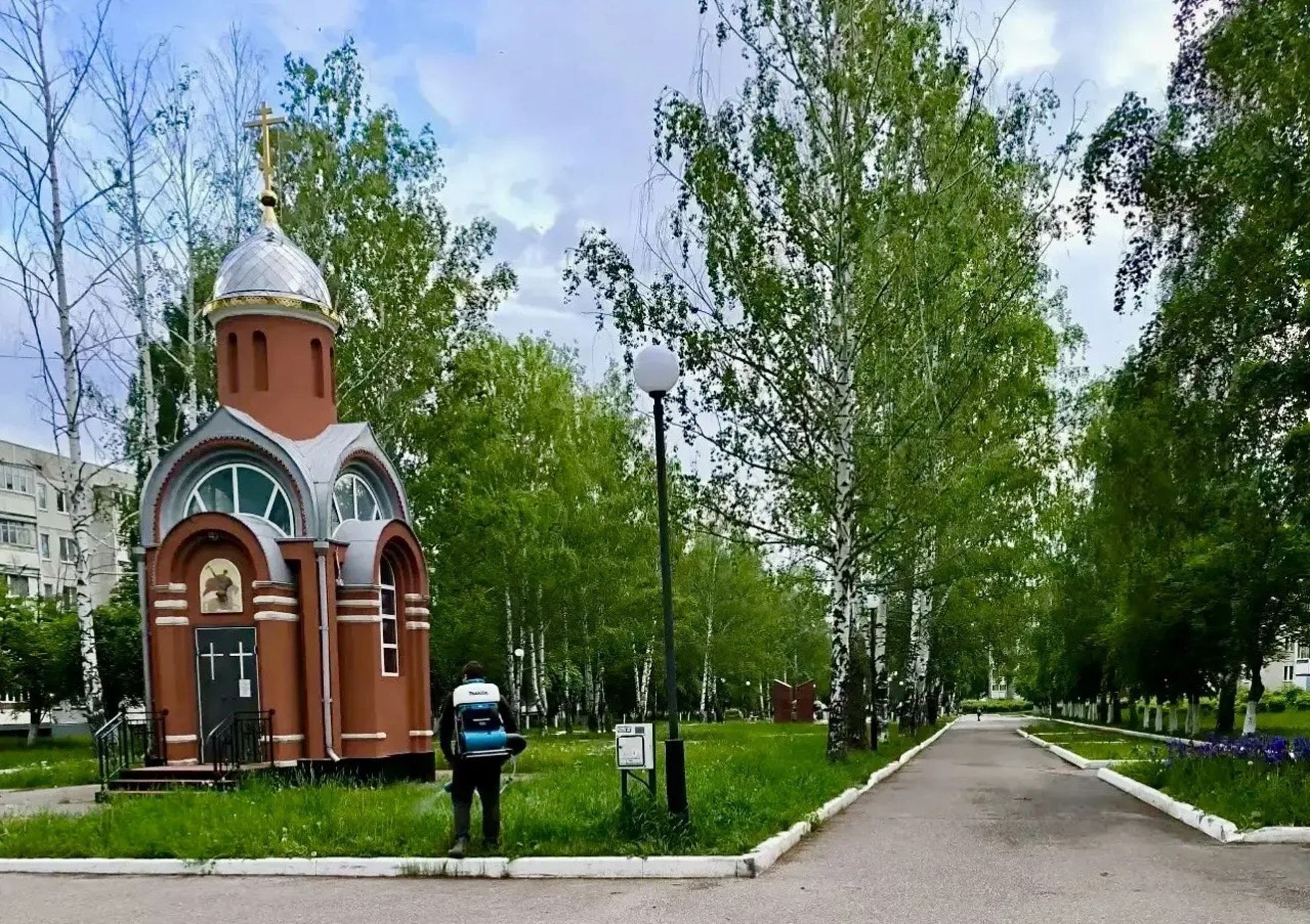В Новочебоксарске проводится обработка территорий от клещей и комаров