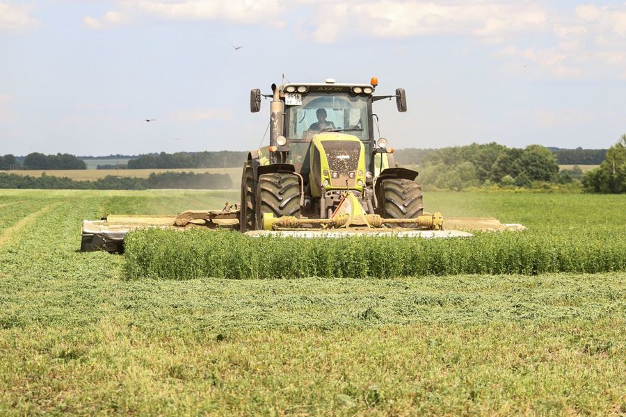 Сельскохозяйственные организации Чебоксарского муниципального округа приступили к заготовке кормов из второго укоса трав