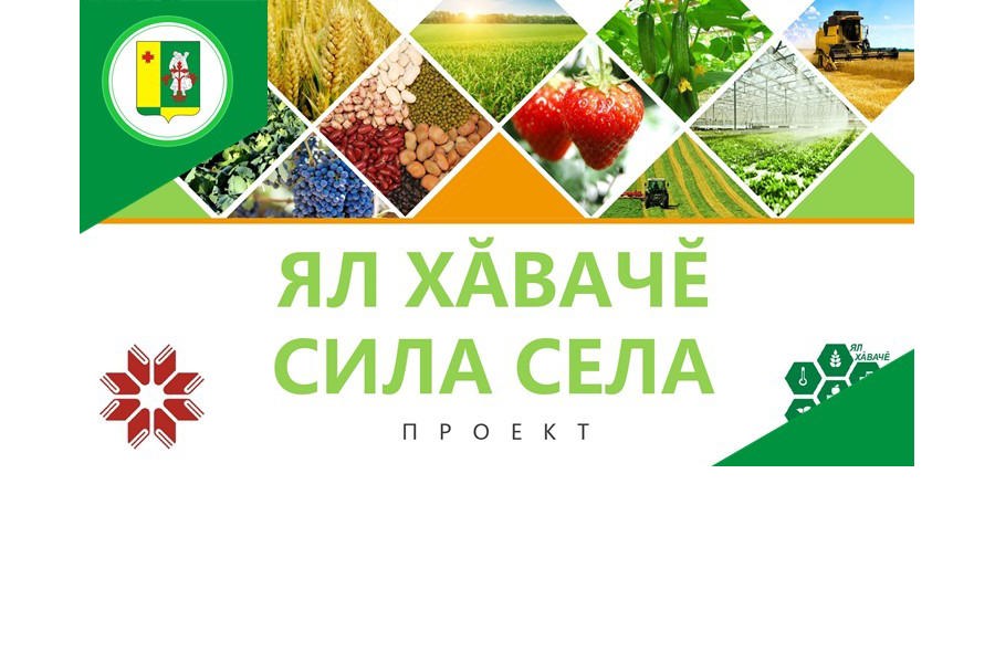 День аграрных знаний в Аликовской центральной библиотеке