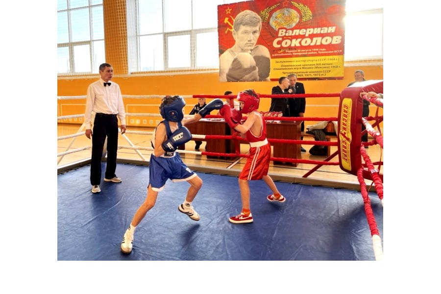 В Чувашии состоялся II республиканский турнир  по боксу на призы олимпийского чемпиона Валериана Соколова
