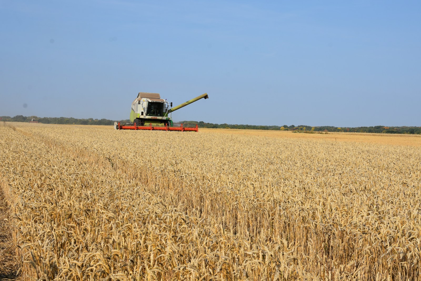 Госрезерв зерна в Чувашии будет увеличен в два раза