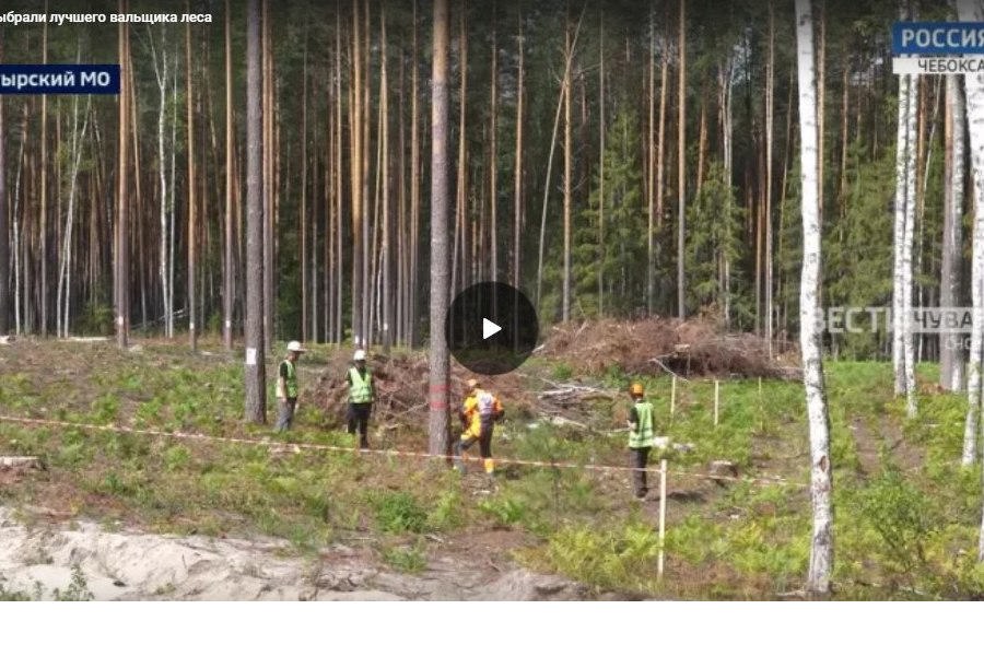 В Чувашии выбрали лучшего вальщика леса // ГТРК «Чувашия».  2024.07.30.