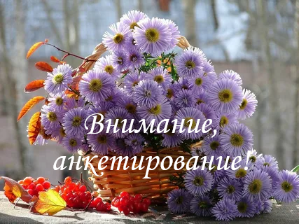 Анкетирование для получателей услуг Центра