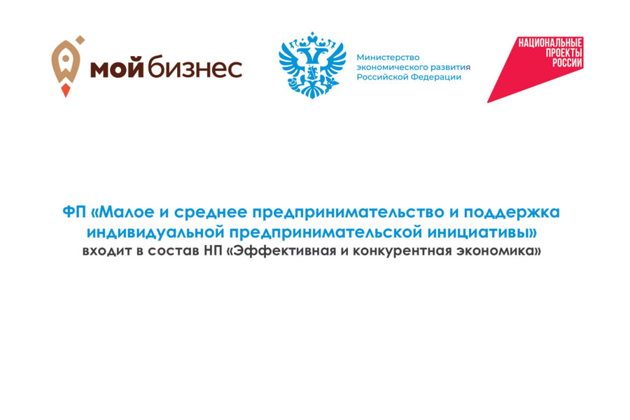 Меры поддержки бизнеса в рамках реализации национального проекта «Эффективная и конкурентная экономика». ФП «Малое и среднее предпринимательство и поддержка индивидуальной предпринимательской инициативы»
