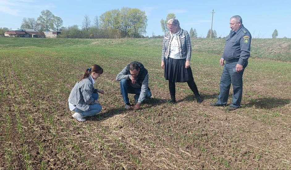 В Козловском муниципальном округе 24 апреля проведена плановая проверка посева яровых культур