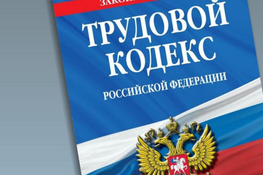 Результаты рассмотрения обращения о нарушении трудового законодательства
