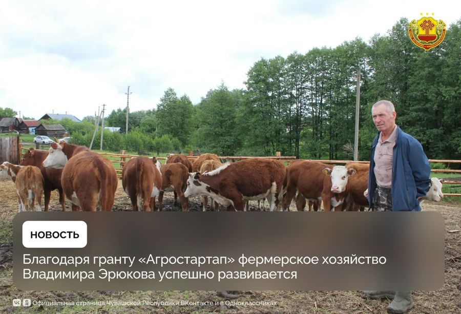 Семейный агробизнес Эрюковых: история успеха в сельском хозяйстве