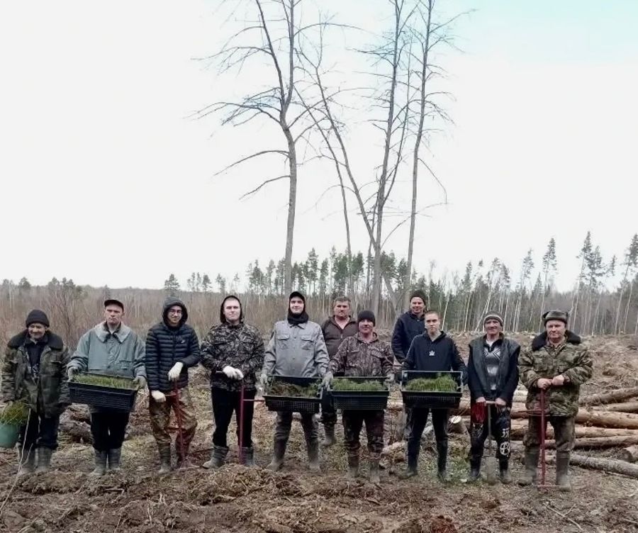 В Алатырском муниципальном округе дан старт экологической акции «Сад памяти»