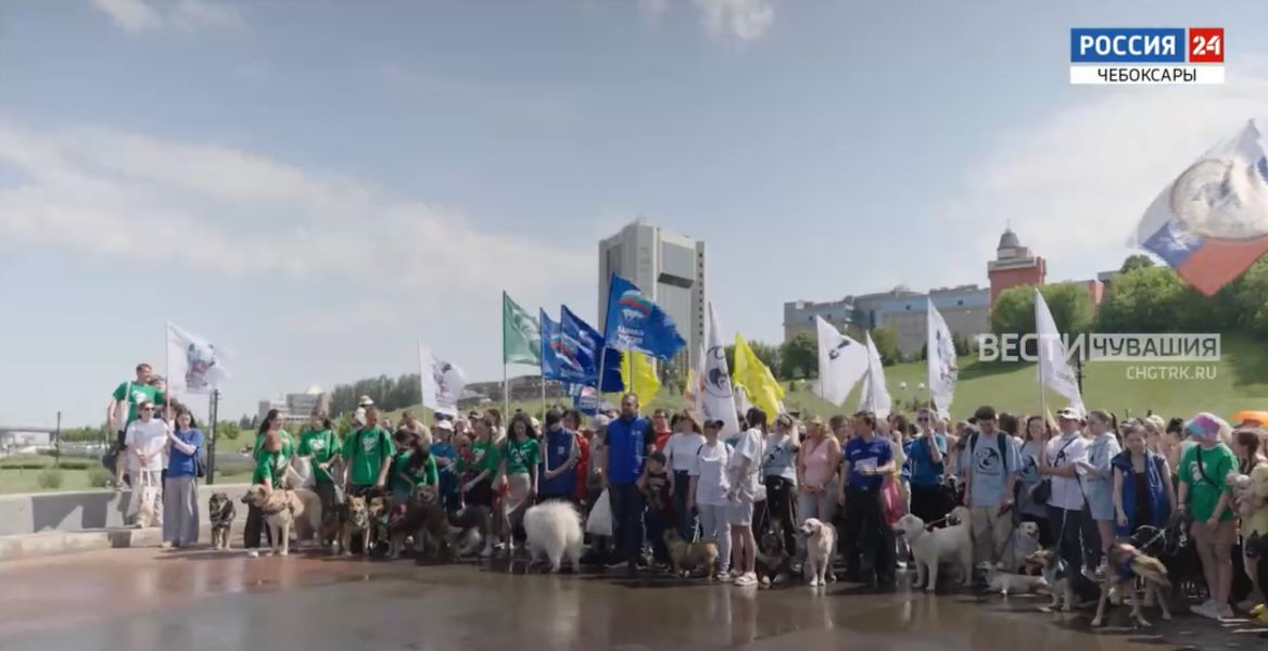 В Чебоксарах прошел 4-й парад собак (ГТРК)