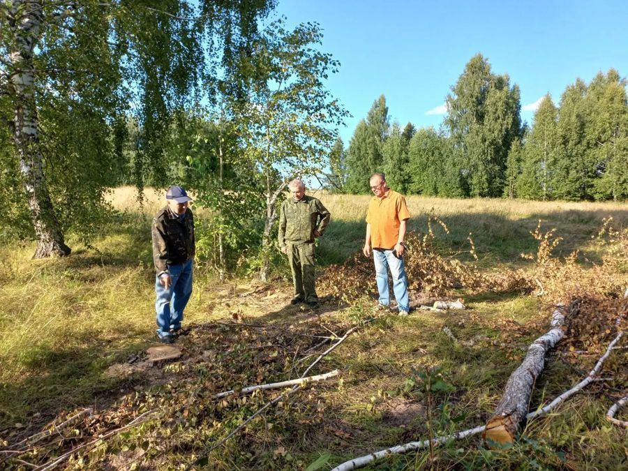 В Чувашии выявлены факты незаконной рубки леса: нарушители не уйдут от ответственности