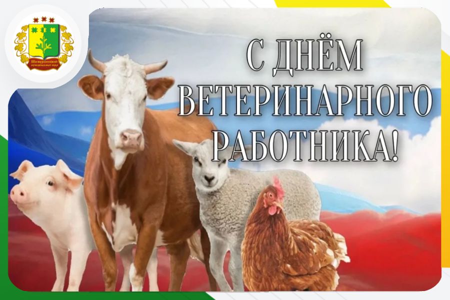 Поздравление временно исполняющего полномочия главы Шемуршинского муниципального округа Александра Сатеева с Днём ветеринарного работника
