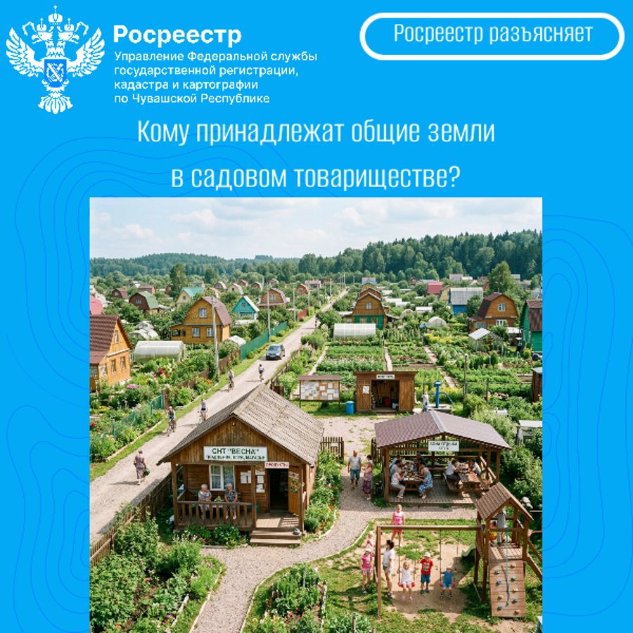 Кому принадлежат общие земли в садовом товариществе?