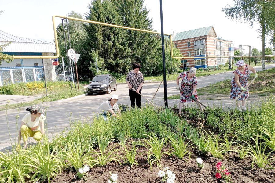 Весенне-летний сезон работники районного Дома культуры облагораживают клумбы и цветники