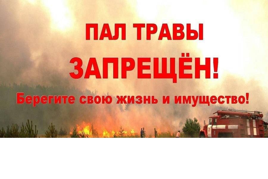 Не жгите сухую траву