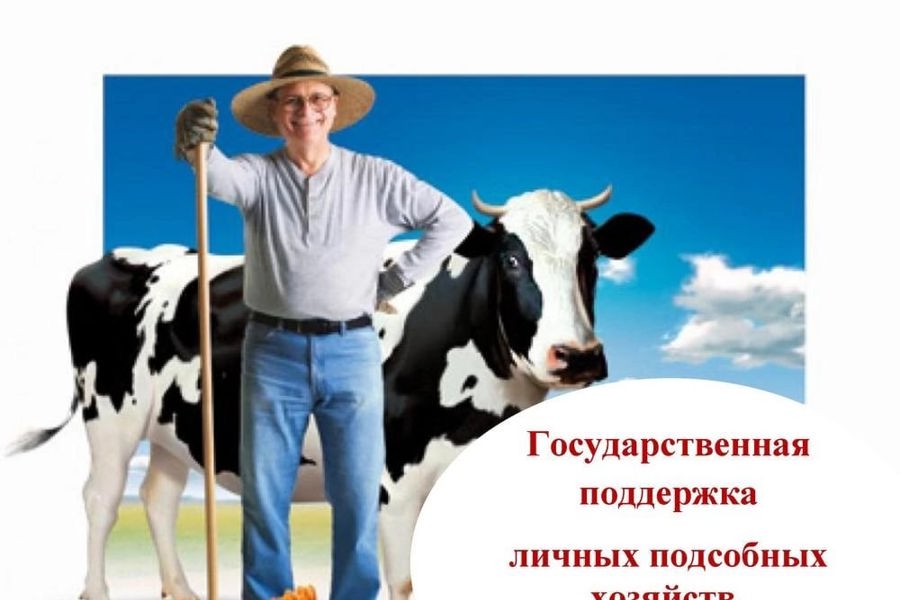 22 сентября 2025 стартовал второй этап отбора, получателей субсидии, направленный на поддержку граждан