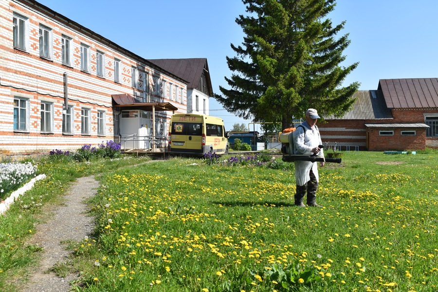 В школах Ядринского муниципального округа провели акарицидную обработку и дератизацию