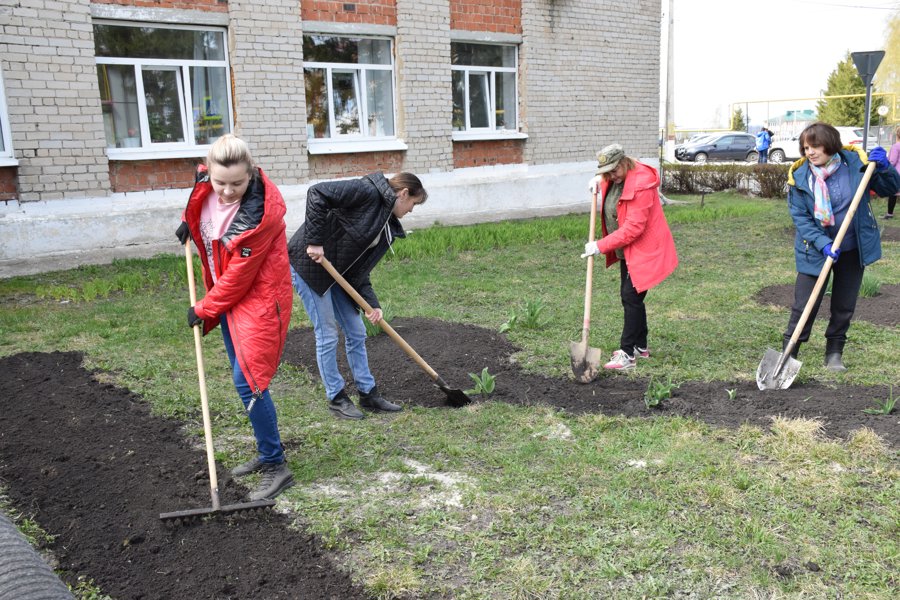 Традиционный массовый субботник прошёл весело и плодотворно