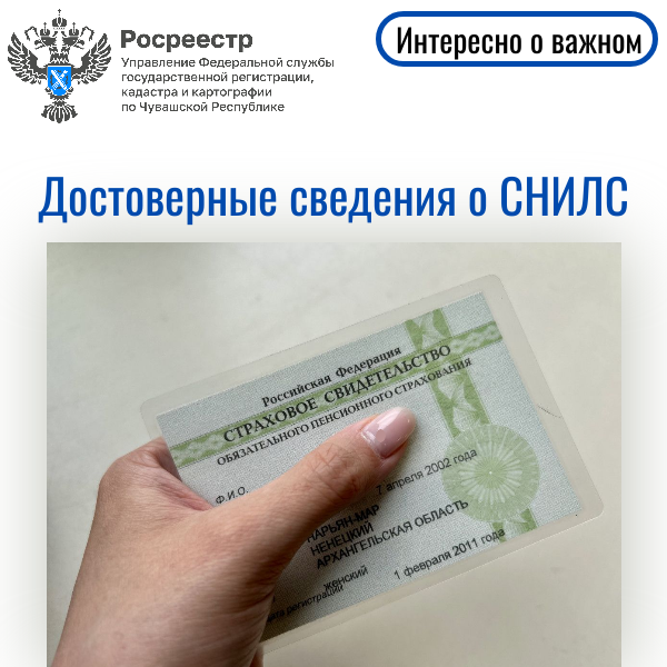В поисках СНИЛС