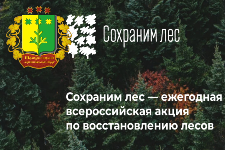 Всероссийская акция «Сохраним лес» в Шемуршинском муниципальном округе.