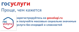 Государственные услуги в электронном виде