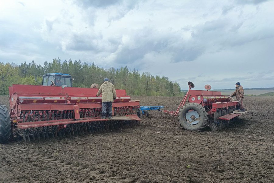 Игорь Семёнов ознакомился с ходом сельскохозяйственных работ