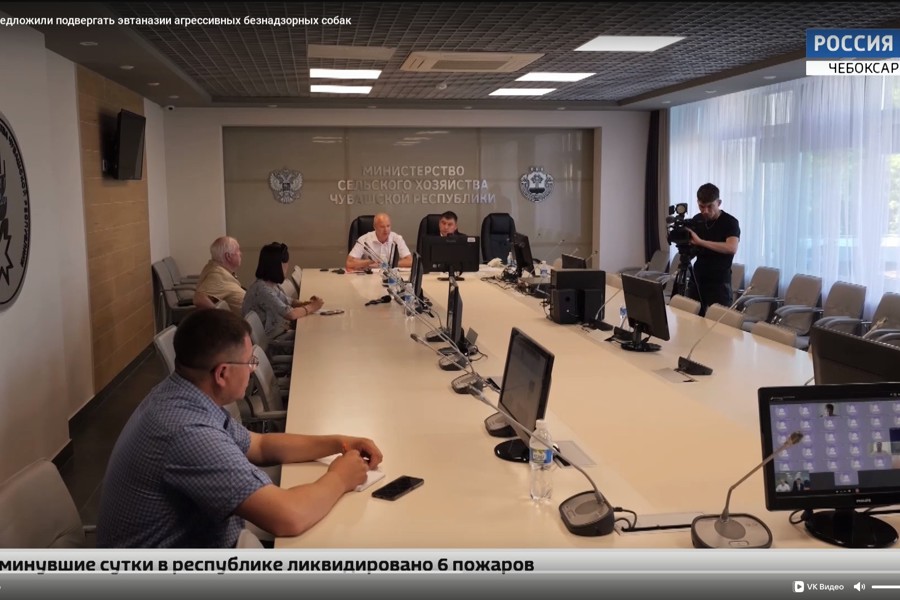 В Чувашии предложили подвергать эвтаназии агрессивных безнадзорных собак