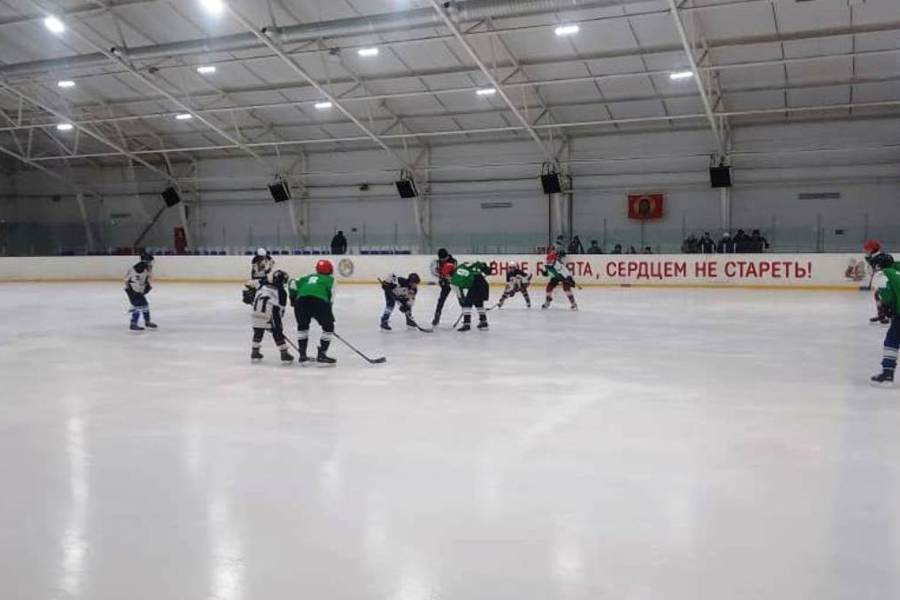 Соревнования юных хоккеистов «Золотая шайба» среди сельских команд