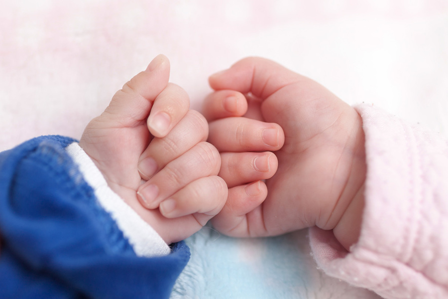 Аисты не дремлют: в Калининском районе г. Чебоксары в августе родилось 10 двойняшек