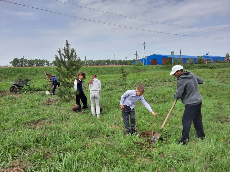 В деревне Мунсют Цивильского округа появилась «Аллея Славы»