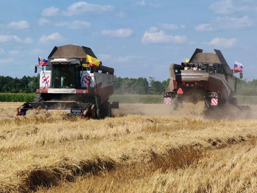 Золотая пора: в разгаре битва за урожай озимых