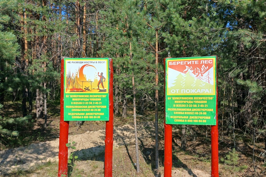 По поручению Главы Чувашии Олега Николаева ведется активная профилактическая работа по недопущению лесных пожаров