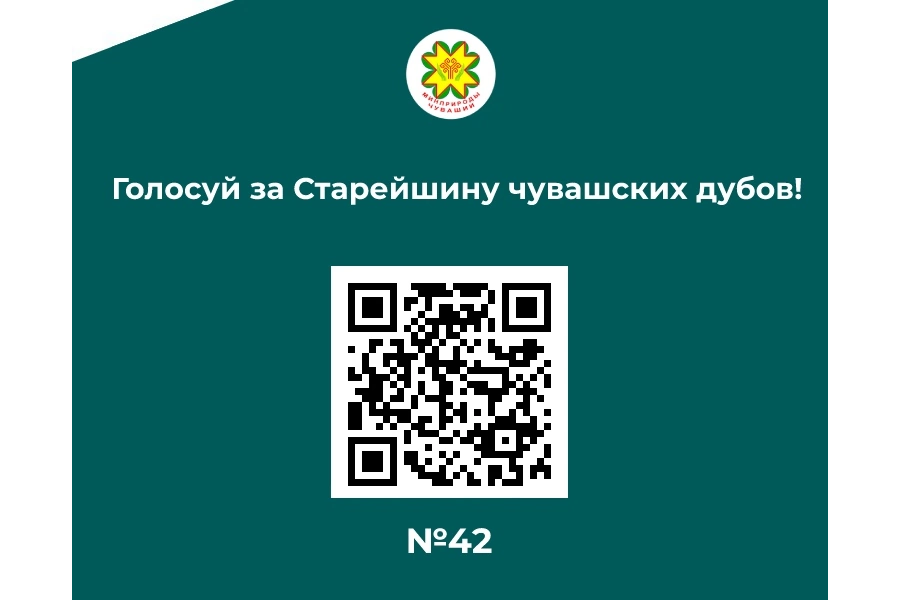 Голосуйте за «Старейшину чувашских дубрав»