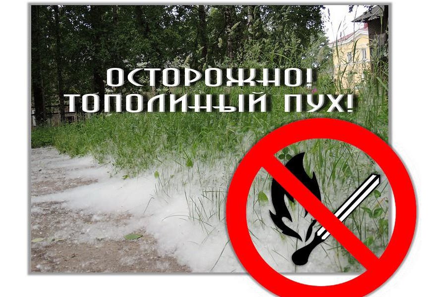 Осторожно - тополиный пух!