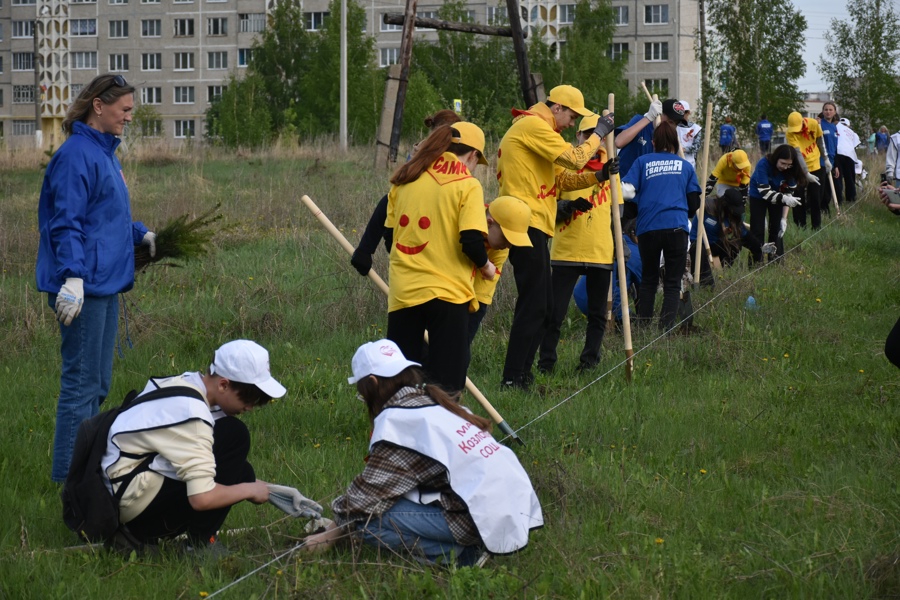 Жители Козловского муниципального округа присоединились к акции «Сад памяти»