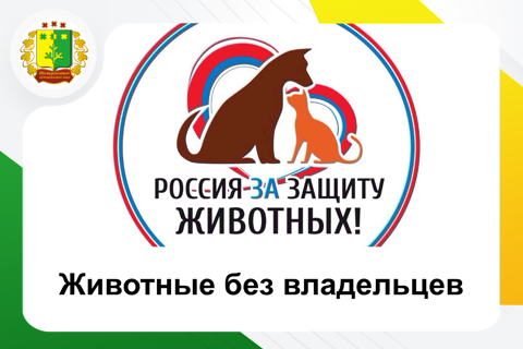 Животные без владельцев