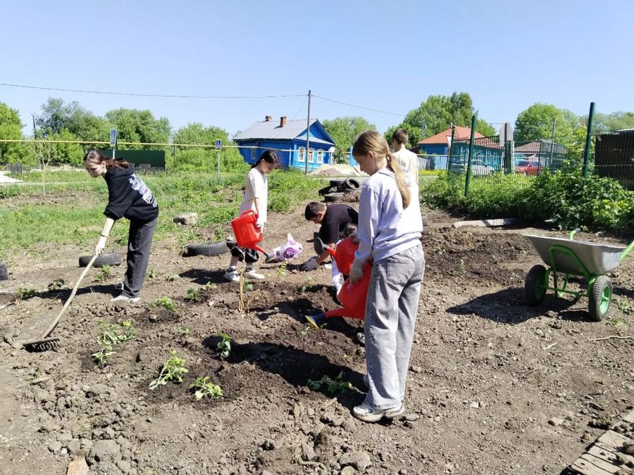 Парк в Новых Атаях обретает новую жизнь