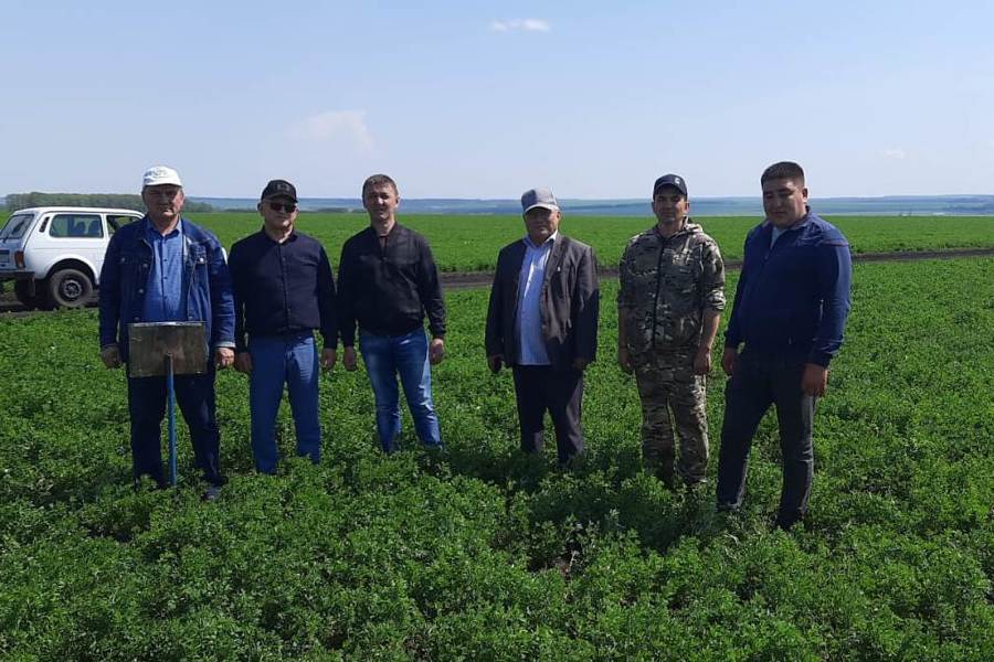 В Яльчикском муниципальном округе начались смотры качества полевых работ «Весна-2024»
