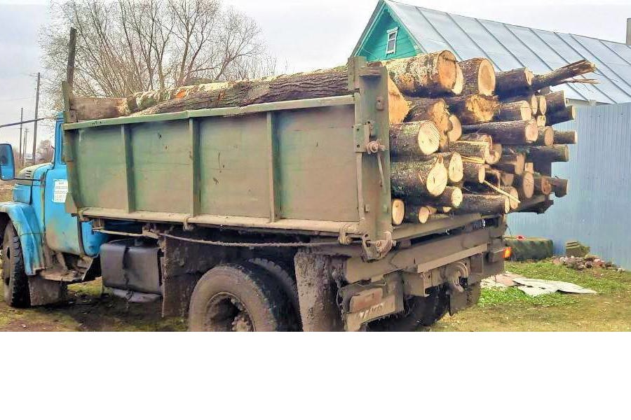 Матери погибшего на СВО помогли с заготовкой дров на зиму