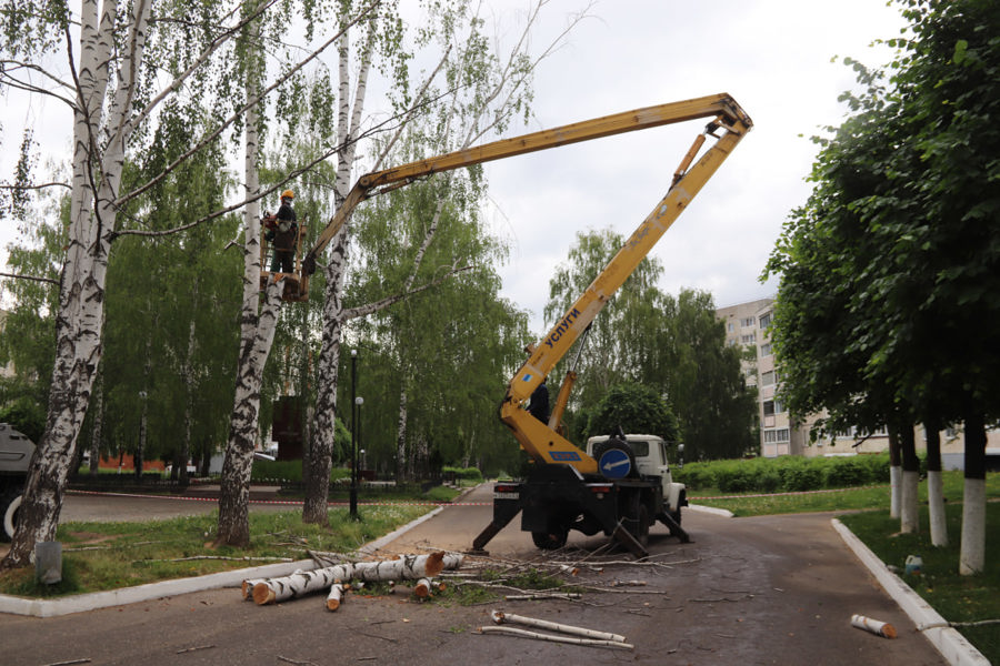 По поручению главы города Максима Семенова АО «Доркомсервис» начал санитарную рубку деревьев