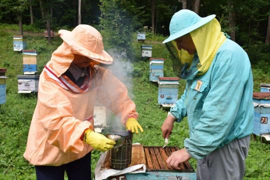 О проведении практического семинар-совещания с пчеловодами и специалистами ветеринарных служб