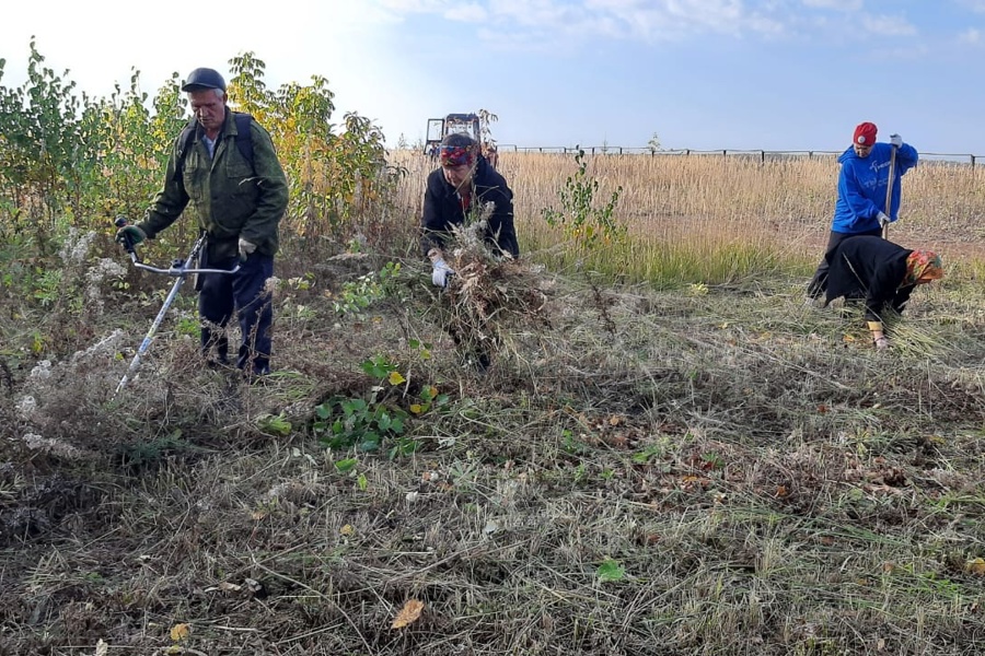 В д. Синькасы прошел субботник