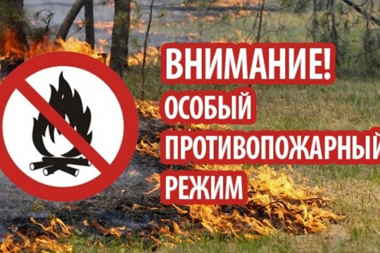 В Чувашии объявлен особый противопожарный режим